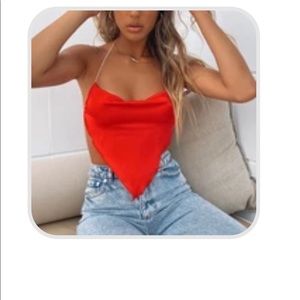 NWT - WHITE FOX BOUTIQUE TRIANGLE CROP TOP